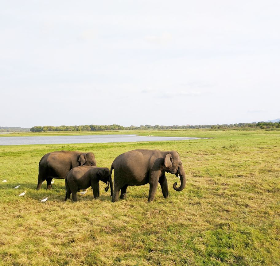 Full-Day Adventure Wildlife & Culture Tour